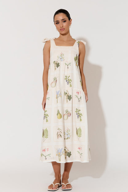 Noah Botanical Belle Dress